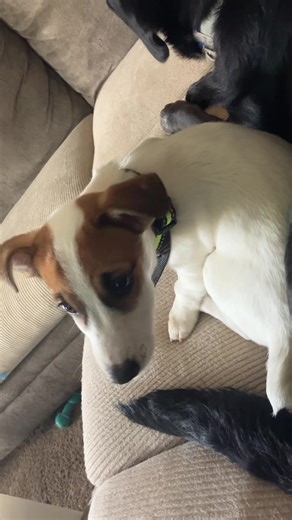 ✭Cody✭ (@notificationwarning525)’s videos with original sound - moneybagbunda