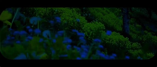 ادْخُلُوا الْجَنَّةَ أَنتُمْ وَأَزْوَاجُكُمْ تُحْبَرُونَ #محمد_الحيدان #quran #قران