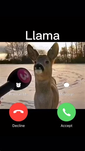 Your Phone Is Ringing | Day 416 | Instagram