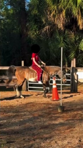 😍😍😍@Harmony_HHs #fypシ゚viral #blowup #horse #equestrian