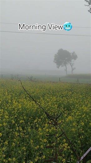 The beautiful morning view