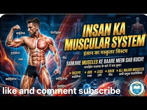 Muscular System / मानव पेशी तंत्र आसान भाषा में #वायरल #ट्रेनिंग