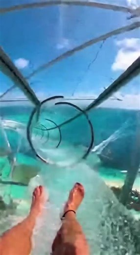 Ever wondered what it feels like to free-fall through paradise? 💦 Experience the ultimate rush as we plunge through this mega water slide, suspended hundreds of feet above tropical paradise. Crystal clear tubes reveal breathtaking azure waters below while water physics create an immersive journey you can almost feel through the screen. Have you ever experienced a water slide that made your heart stop? Drop your favorite water park memory below! 👇 #ExtremeWaterslide #POVexperience #TropicalPara