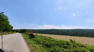 Rural Bulgaria is a wheat producing powerhouse and exporter to Europe and the world. We take a drive by a uniquely Bulgarian scene. High wild fauna on the edge of a farm field.