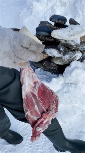 5 Minute Recipes | When camping turns into a 5-star forest dining experience 🍍 #gourmet #camping #naturechef #tropicalvibes #foodieadventure | Instagram