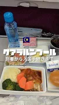 [Kuala Lumpur International Airport] From arrival to immigration procedures