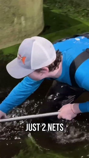 Saving Rare Fish Living in Abandoned Pond... #fishing #fish #rarefish #animals