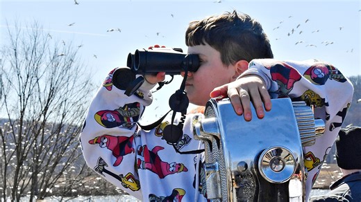 The snow geese migration has begun — here's how you catch the bird-watching action