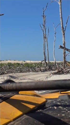 POV: Por dentro do mangue seco de UTV em Jericoacoara - Guriú 4K #shorts