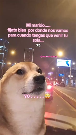 1.6M views · 9.7K reactions | Cuando vamos a Cancún  #cancun #cancunmexico #cancunallday #cancunquintanaroo #quintanaroo #mexico #rivieramaya #caribemexicano #visitmexico #travel #viajeros #viajando | Cancun all Day | Facebook