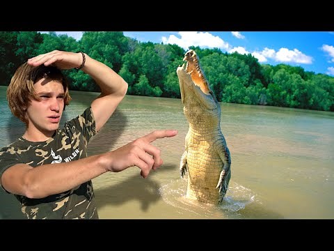 On The Hunt For GIANT CROCODILES in AUSTRALIA! Pt.1