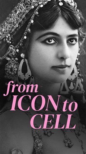 Mata Hari Spy in a Trap #biography #documentary #womenshistory #history #matahari #strongheroine