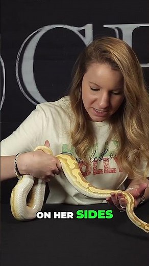 Stunning Snake Transformation Meet the Cold Blooded Freak!