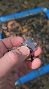 This place has so much potential! #artifacts #arrowhead #rockhound #history #ancienthistory #explorepage #adventure #stonetools #treasure #digging #abandonedplaces #discovery #stunning | Zach Byrd Adventure Hour