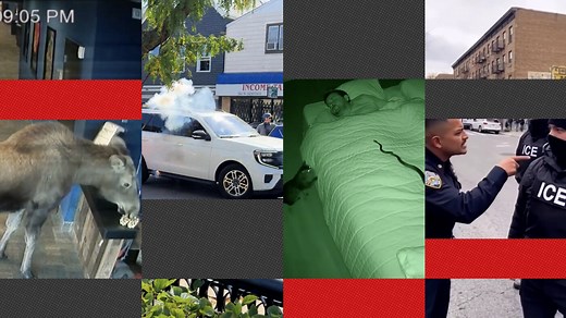 AI video slop is everywhere, take our quiz to try and spot it