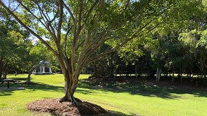Why this is the Coast’s most peaceful park