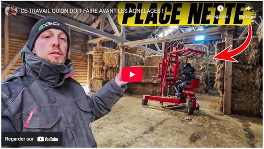 Ce travail qu'on doit faire avant les agnelages ! - WikiAgri - Actualité agricole