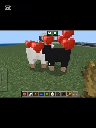 minecraft #minecrafthumor #gaming #minecraftjokes #memes #minecraftmemes #roblox #minecraftanimatio