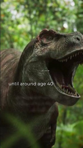 T rex fossil discovery rewrites dinosaur history and reveals how long they really lived