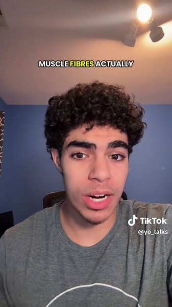 Understanding Sarcomere Connection to Endomysium