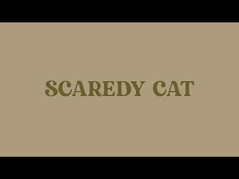 Scaredy Cat - DPR IAN (Lyrics Video)