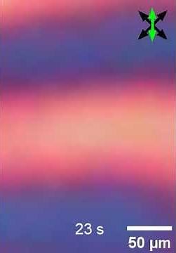 Time Crystal in motion