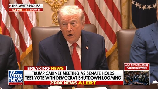 PRESIDENT TRUMP: “Thanks to our tax cuts, millions of Americans will soon receive record-setting tax refunds. You're going to get a lot of tax refunds, with the average refund expected to be over $1,000 higher than it has been at any time.” “If Congressional Democrats had their way, Americans would right now be facing the largest tax hike ever.” | Fox News