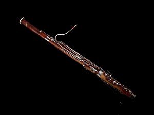 Bassoon | Philharmonia
