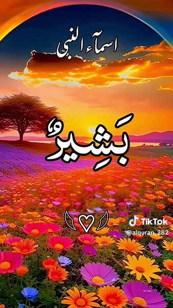 Discover the Names of the Prophet Muhammad