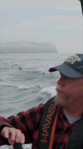 Nothing beats the freedom and peace of open waters 🌊 Join us on the next Ocean Safari adventure: https://shop.oceanquestadventures.com/shop/oqbookandshoponline/en/view-trip/tours/boat-tour/ocean-quest/close-encounter-2hr-ocean-safari-9am-11am-22388 🐧 709-722-7234 🐋 frontdesk@oceanquestadventures.com 🖥 www.oceanquestadventures.com 📍 40 O’Leary Ave, St. John’s, NL Newfoundland & Labrador Tourism Newfoundland Buzz Destination St. John's #oceanquest #canadatours #ExploreCanada #summer2023 #theg