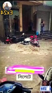 Mst Rifa Aktar on Reels | Facebook