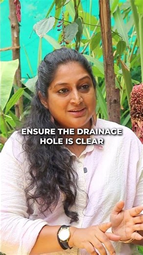 HOW TO SAVE YOUR DYING PLANT! 🚑 Urban Mali - Empowered Gardener