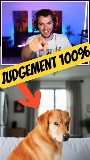 POV: Your dog judges your entire existence 🐕👀 #dogmeme