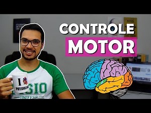 CONTROLE MOTOR [Neuro 03]