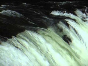 サクラマスの滝登りの瞬間（北海道清里町さくらの滝）