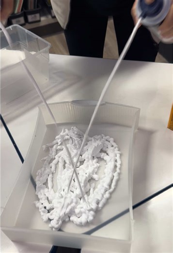 Snow-Much Fun: Easy Classroom Experiment with Snow