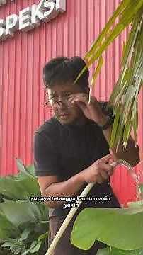 HOW TO Flirt with Your Neighbors😎