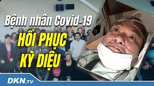 Cách phân biệt No và Not