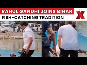 Bihar Elections Moments: Rahul Gandhi Joins Fish-Catching Tradition During Bihar Campaign Trail