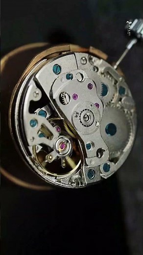 GRAVITAS by Sylvi | Luxury Automatic Watch for Men