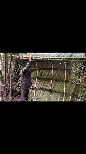 Building a Jungle Shelter from Nature | No Nails, Only Wild Materials & Peaceful.