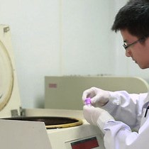 Video: Subclavian Vein Puncture As an Alternative Method of Blood Sample Collection in Rats