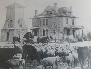 We Are East Idaho: Ammon - East Idaho News