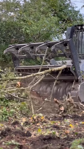 2.5K reactions · 50 shares | 440 HP of nonstop bite  蝹 The 헥헮헽혁헼헿 ퟱퟬퟬ turns your roughest land clearing jobs into easy wins — crushing the workload while staying gentle on the soil and the operator  Credits: SAS GANNAC Broyage&Reboisement  #Prinoth #Raptor500 #prinothvegetationmanagement | Prinoth Vegetation Management | Facebook