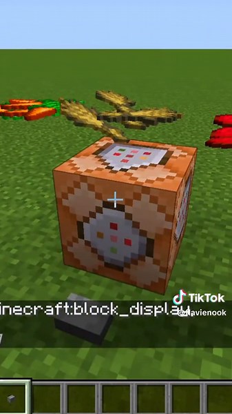 Importer Modèle 3D Minecraft Java Commande Partie 1