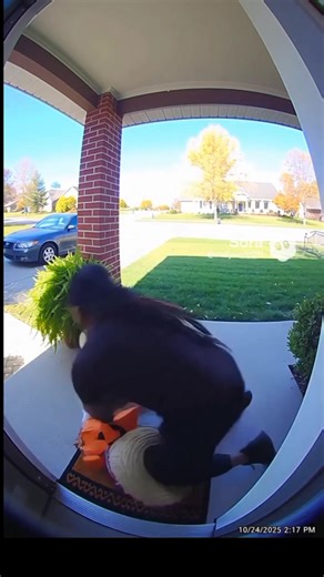 😆go open the gov back up | Jamal Jones