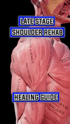 Effective Shoulder Rehab Techniques for Injury Prevention