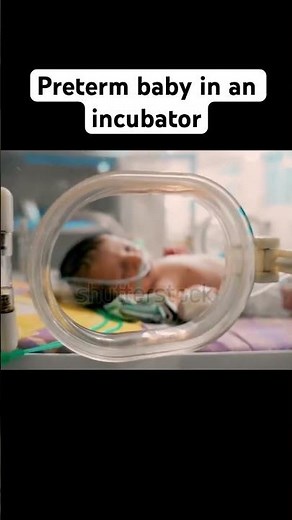 Preterm baby in an incubator l Preterm baby l NICU