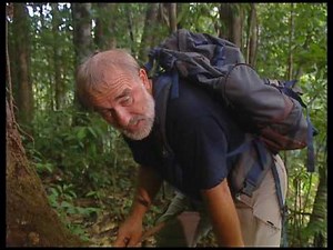 Grandeur Nature - La forêt de l'ombre (Documentaire nature)