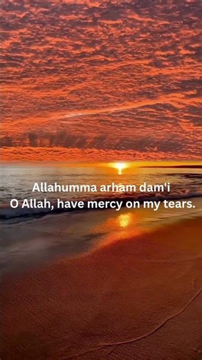 Shia Dua #shiastatus #shiaislam #shism #shiashorts #shiastatus46